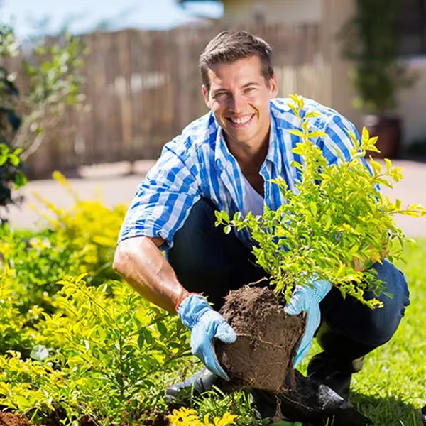 🔥Hot Sale🔥Soil Improvement Loosening Agent(50% OFF)