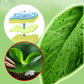 Plant Flower Insect Repellent Tablet（BUY 3 GET 5 FREE）