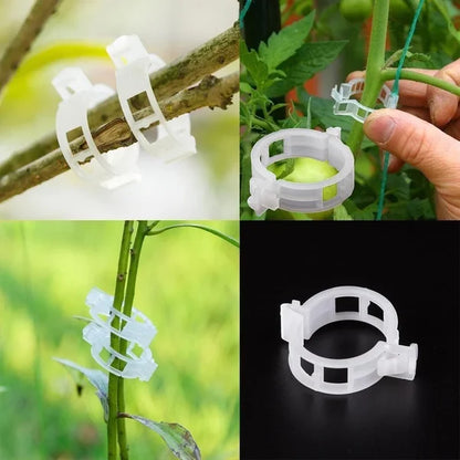 💥2024 Hot Sale 49% OFF💥 Secured Plastic Plant Clip（BUY 3 GET 2 FREE）
