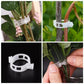 💥2024 Hot Sale 49% OFF💥 Secured Plastic Plant Clip（BUY 3 GET 2 FREE）