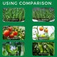 Organic Fertilizers For Vegetables