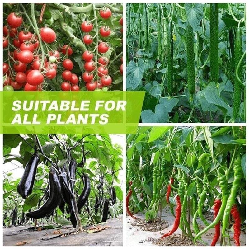 Magic Hydroponic Lliquid Fertilizer(50% OFF)