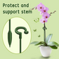 Plant Support Stake(10PCS)