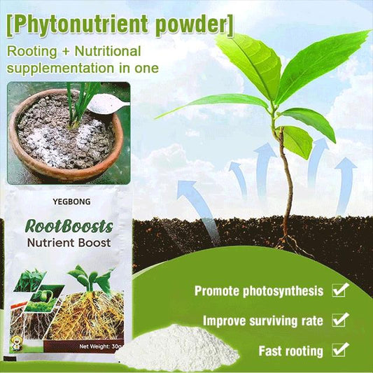 Plant Hair Root Growth Nutrition Powder（50% OFF）