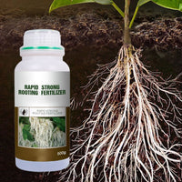Plant Rooting & Seedling Strengthening Agent（50% OFF）