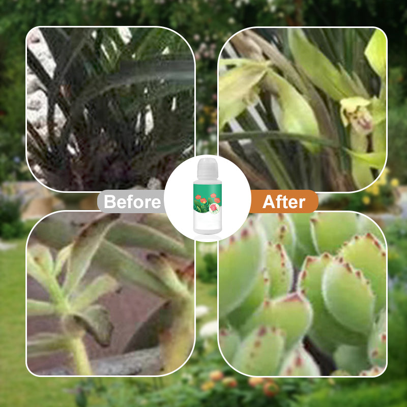 Universal Plant ＆ Flower Activation Liquid Solution（50% OFF）