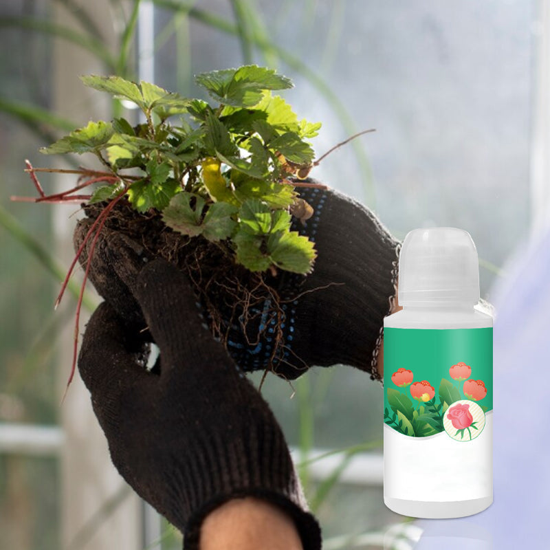Universal Plant ＆ Flower Activation Liquid Solution（50% OFF）