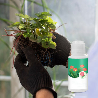 Universal Plant ＆ Flower Activation Liquid Solution（50% OFF）