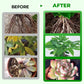 🎁 Hot Sale 50% OFF 🔥All Purpose Concentrated Liquid Fertilizer