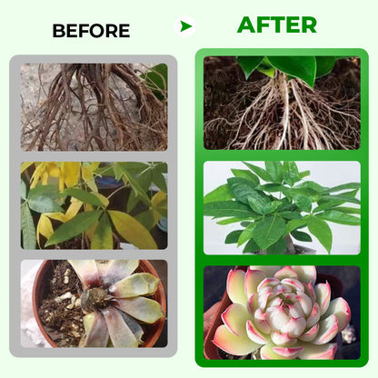 🎁 Hot Sale 50% OFF 🔥All Purpose Concentrated Liquid Fertilizer