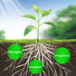 🎁 Hot Sale 50% OFF 🔥All Purpose Concentrated Liquid Fertilizer