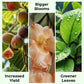 🎁 Hot Sale 50% OFF 🔥All Purpose Concentrated Liquid Fertilizer