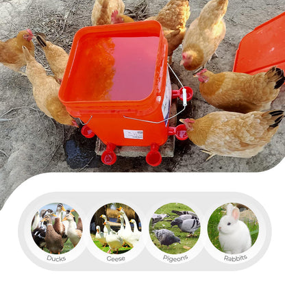 🎁Hot sale 50% OFF✨5/16 Inch Thread Automatic Poultry Water Cups