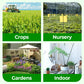 🎁 Hot Sale 50% OFF 🔥All Purpose Concentrated Liquid Fertilizer