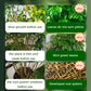 🔥Rapid Rooting And Flowering Powder（50% OFF）