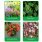🔥Rapid Rooting And Flowering Powder（50% OFF）