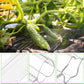 Cucumber Molds For Garden