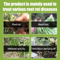 Plant, Melon And Fruit Microbial Bacterial Agent