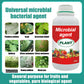 Plant, Melon And Fruit Microbial Bacterial Agent