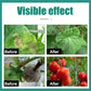 Plant, Melon And Fruit Microbial Bacterial Agent