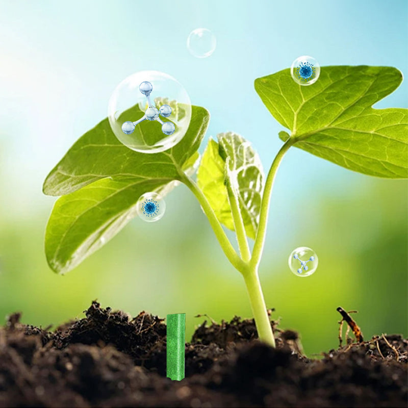Slow-Release Plant Fertilizer Sticks