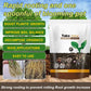 🔥Hot Sales🎉Strong Rooting Powder Microbial Fertilizer（50% OFF）