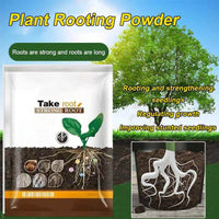 🔥Hot Sales🎉Strong Rooting Powder Microbial Fertilizer（50% OFF）