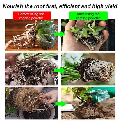🔥Hot Sales🎉Strong Rooting Powder Microbial Fertilizer（50% OFF）