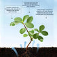 🔥Hot Sales🎉Strong Rooting Powder Microbial Fertilizer（50% OFF）