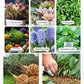 🔥Hot Sales🎉Strong Rooting Powder Microbial Fertilizer（50% OFF）