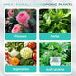 Hydroponic Nutrient Solution For Plant Growth