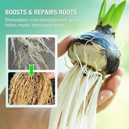 Hydroponic Nutrient Solution For Plant Growth