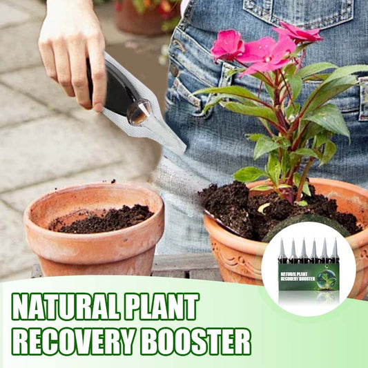 Natural Plant Recovery Booster With Essential Nutrients (50% OFF)