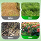 Natural Plant Recovery Booster With Essential Nutrients (50% OFF)