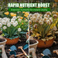 Natural Plant Recovery Booster With Essential Nutrients (50% OFF)