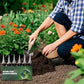 Natural Plant Recovery Booster With Essential Nutrients (50% OFF)
