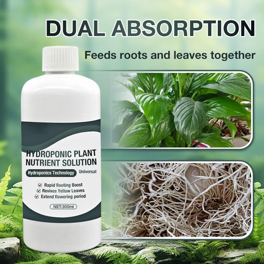 Hydroponic Plant Nutrient Solution（50% OFF）