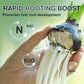 Hydroponic Plant Nutrient Solution（50% OFF）