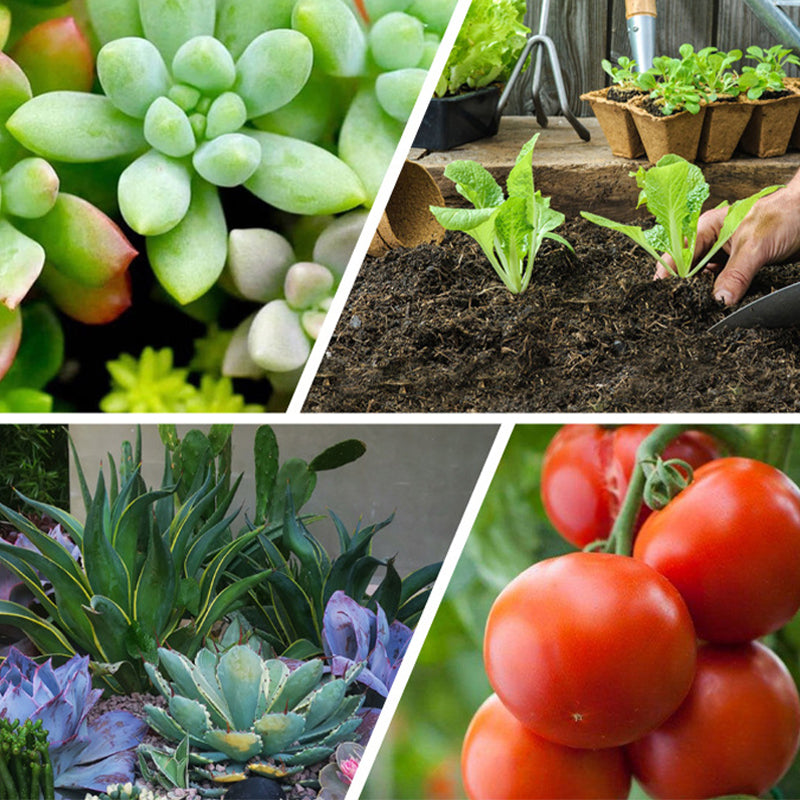 Multipurpose Slow-Release Tablet Fertilizer for Plants