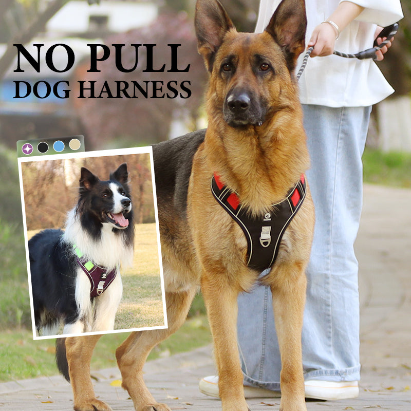 📢📢50% OFF !! ⏰No Pull Dog Harness with Leash & Collar LED