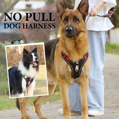 📢📢50% OFF !! ⏰No Pull Dog Harness with Leash & Collar LED