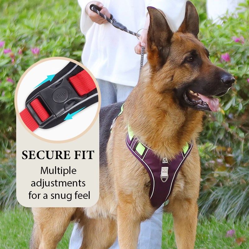 📢📢50% OFF !! ⏰No Pull Dog Harness with Leash & Collar LED