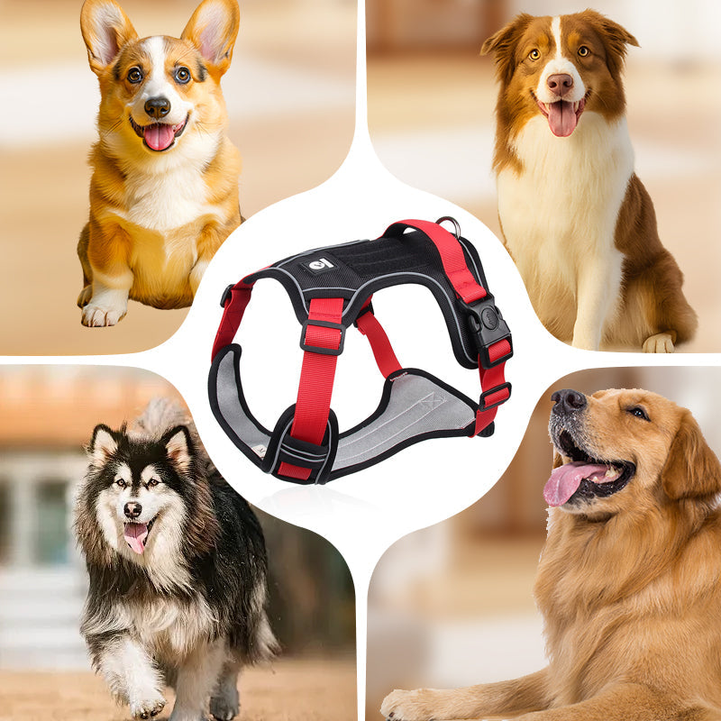 📢📢50% OFF !! ⏰No Pull Dog Harness with Leash & Collar LED