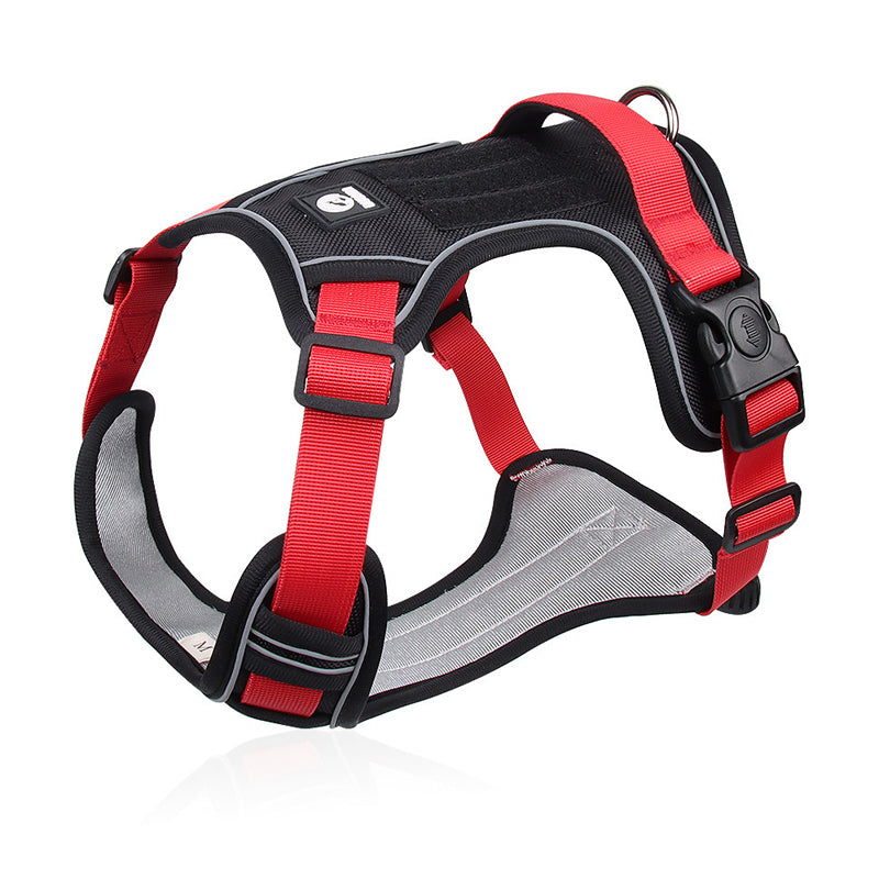 📢📢50% OFF !! ⏰No Pull Dog Harness with Leash & Collar LED