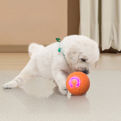 🐱🐶Let the little pets no longer feel lonely-Auto Bouncing Smart Pet Ball