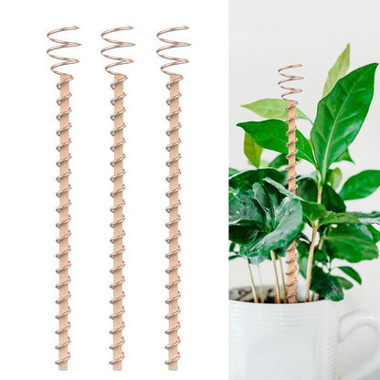 📢📢50% OFF !! ⏰Plant Support Frame