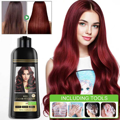 3-in-1 Hair Color Shampoo & Conditioner for Gray Coverage