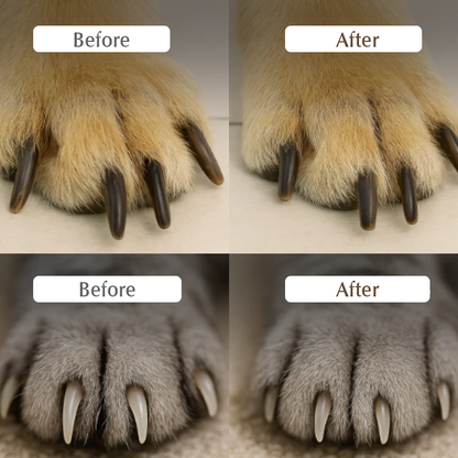 ✂️ 50% OFF NOW! 🐾 Pet Nail Clippers with LED Light – Precision blade, built-in light & safety guard – Stress-free grooming for dogs & cats at home 🛁