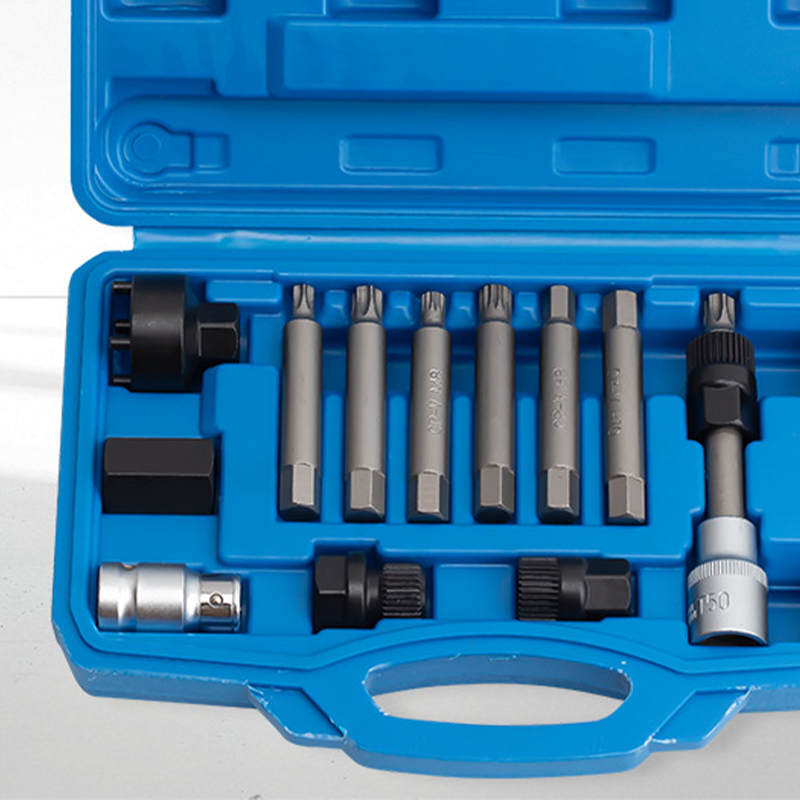 Alternator Pulley Removal Tool Kit with Organizer