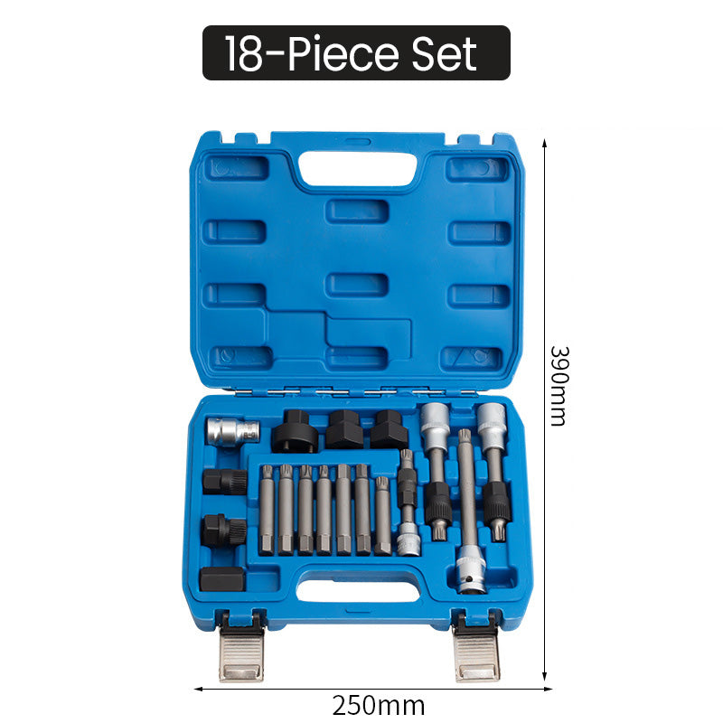 Alternator Pulley Removal Tool Kit with Organizer